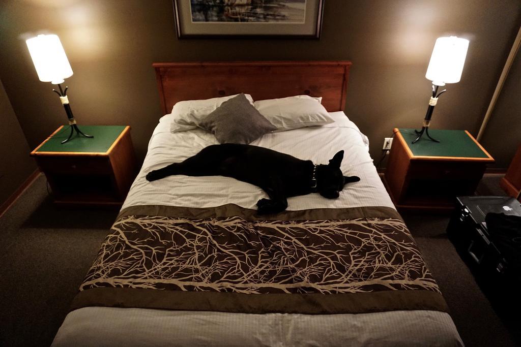 The Bamfield Motel Salmon Beach Exterior foto